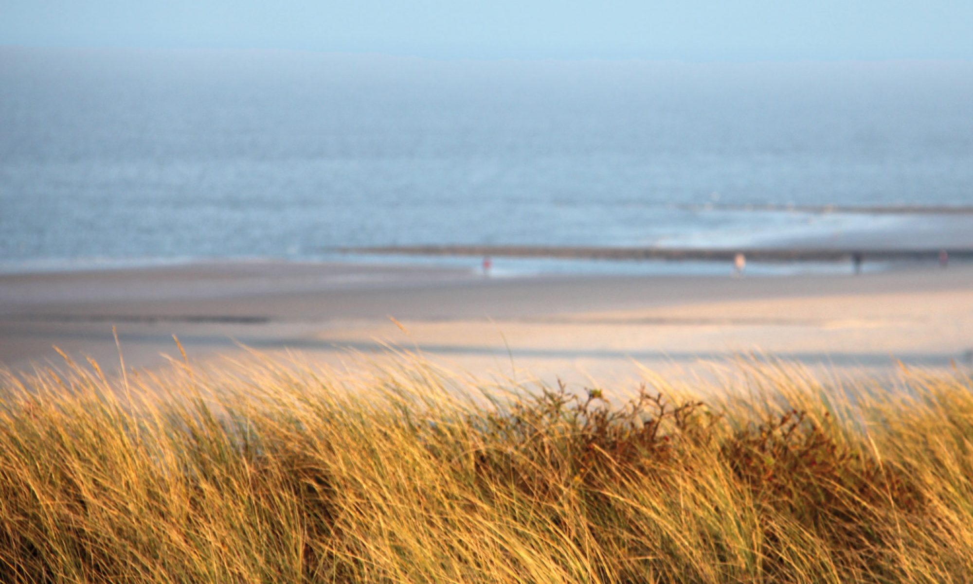 Ferienwohnungen auf Wangerooge – Familie Seidel
